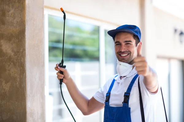 Los Banos Wasp Removal