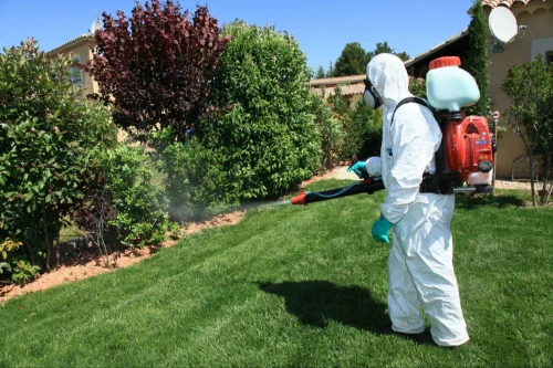 Los Banos Mosquito Control