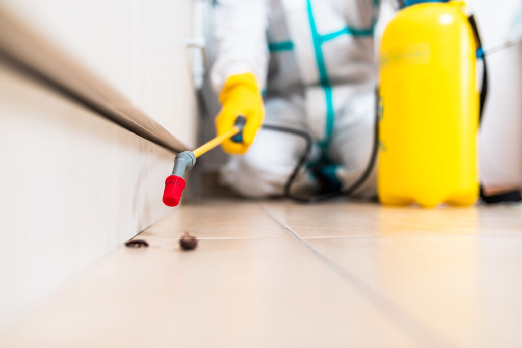 Los Banos Cockroach Experts