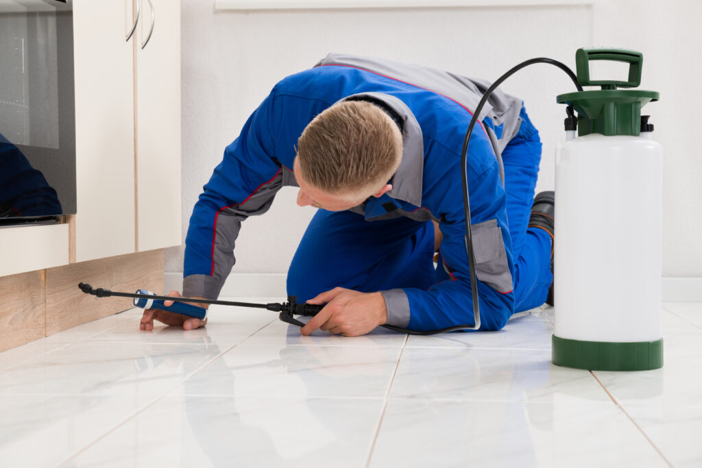 Los Banos Ant Control Xperts