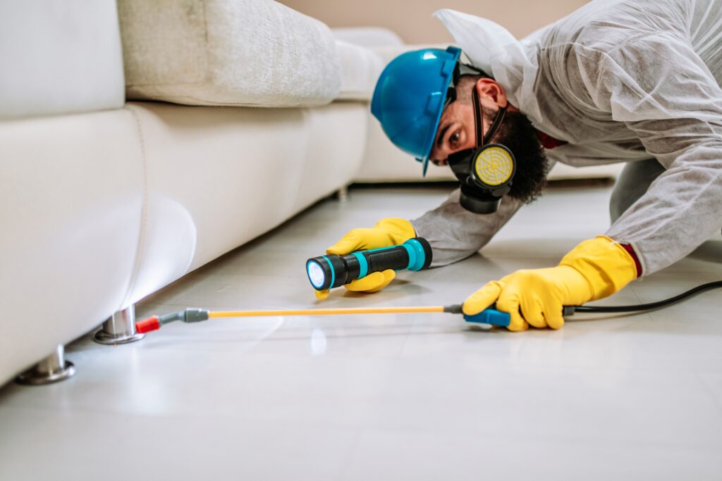 Los Banos Termite Control